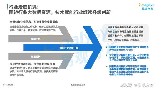 商业查询 社会信用基石与中国市场发展机遇——兼论旅游开发项目策划咨询